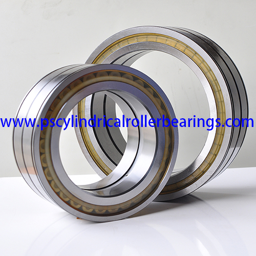 SL04220PP Full Complement Cylindrical Roller Bearing