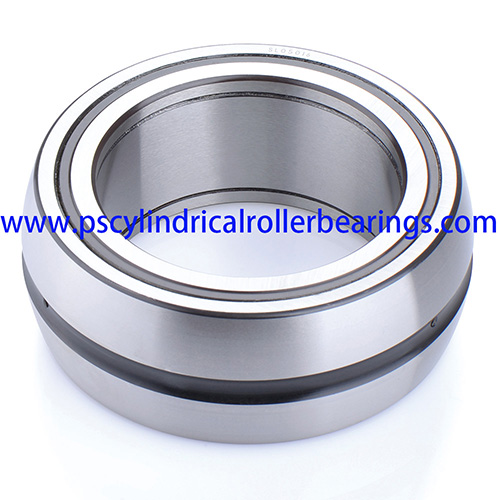 SL06020E Full Complement Cylindrical Roller Bearing