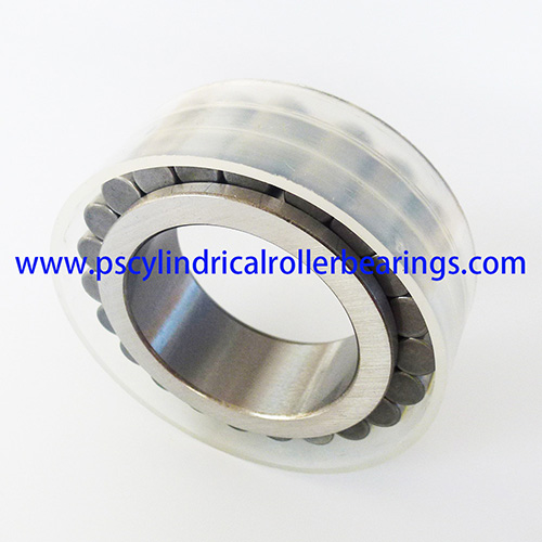 RSL183015 Full Complement Cylindrical Roller Bearing