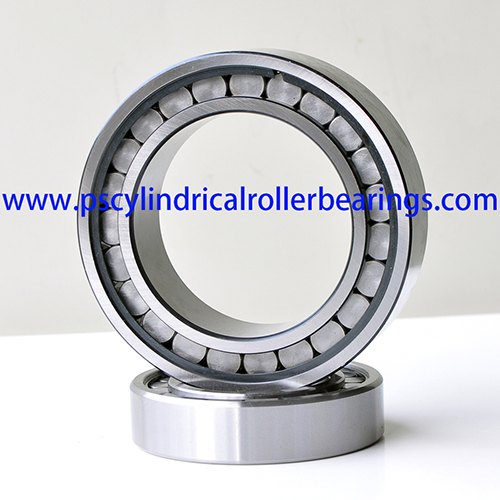SL182204 Single Row Cylindrical Roller Bearing